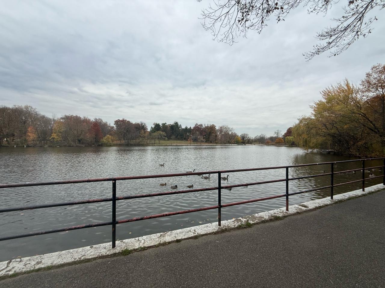 Kissena Park bike lane restoration